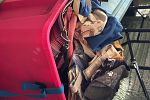 Sale Photo Thumbnail #26