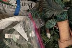 Sale Photo Thumbnail #14