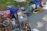 Sale Photo Thumbnail #9