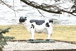 Sale Photo Thumbnail #58