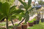 Sale Photo Thumbnail #17