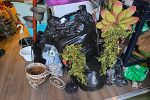 Sale Photo Thumbnail #20