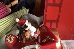 Sale Photo Thumbnail #22