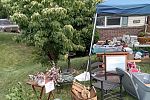 Sale Photo Thumbnail #4
