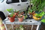 Sale Photo Thumbnail #24