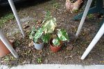 Sale Photo Thumbnail #23