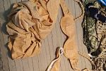 Sale Photo Thumbnail #30