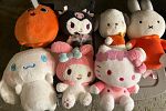 Sale Photo Thumbnail #10