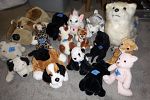 Sale Photo Thumbnail #19