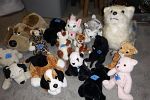 Sale Photo Thumbnail #20