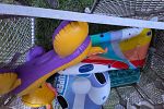 Sale Photo Thumbnail #27