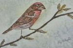 Sale Photo Thumbnail #41