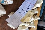 Sale Photo Thumbnail #14
