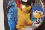 Sale Photo Thumbnail #49