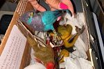 Sale Photo Thumbnail #230