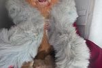 Sale Photo Thumbnail #38