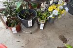 Sale Photo Thumbnail #22
