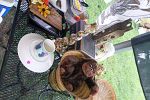 Sale Photo Thumbnail #27