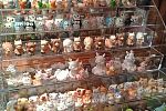 Sale Photo Thumbnail #13