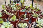 Sale Photo Thumbnail #8