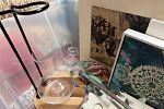 Sale Photo Thumbnail #14