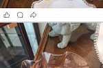 Sale Photo Thumbnail #72