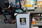 Sale Photo Thumbnail #12