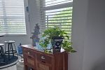 Sale Photo Thumbnail #42