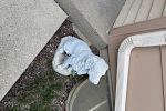 Sale Photo Thumbnail #30