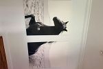 Sale Photo Thumbnail #24