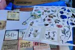 Sale Photo Thumbnail #9
