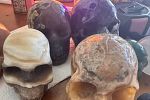 Sale Photo Thumbnail #22