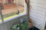 Sale Photo Thumbnail #46