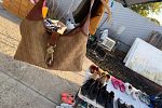 Sale Photo Thumbnail #10