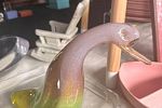 Sale Photo Thumbnail #162