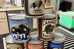 Sale Photo Thumbnail #172