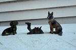 Sale Photo Thumbnail #25