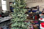 Sale Photo Thumbnail #27