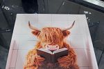 Sale Photo Thumbnail #29