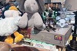 Sale Photo Thumbnail #9