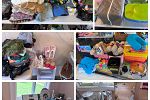 Sale Photo Thumbnail #11