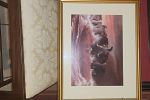 Sale Photo Thumbnail #23