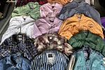 Sale Photo Thumbnail #11