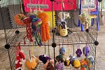 Sale Photo Thumbnail #8