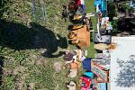 Sale Photo Thumbnail #2