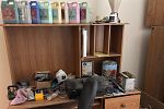 Sale Photo Thumbnail #36