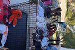 Sale Photo Thumbnail #11