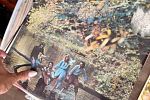 Sale Photo Thumbnail #152
