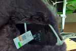 Sale Photo Thumbnail #6