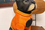 Sale Photo Thumbnail #176